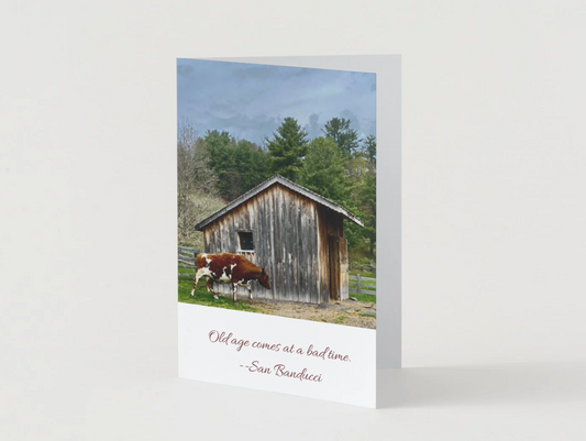 Old Age Comes At A Bad Time