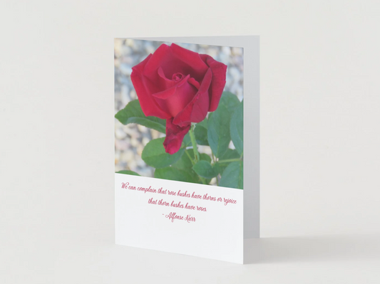 We Can Complain That Rose Bushes...