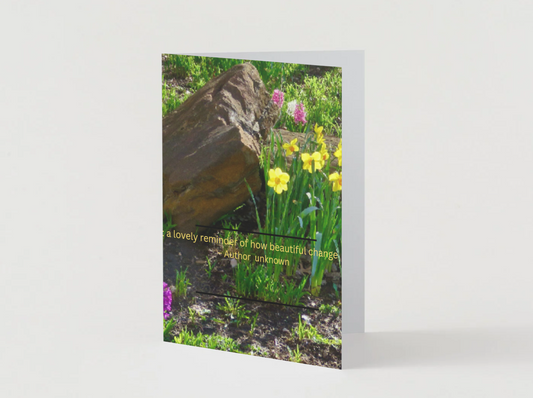 Spring, a lovely reminder