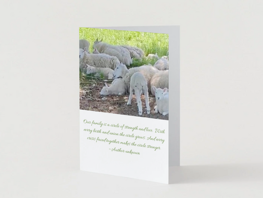 A CIRCLE OF STRENGTH