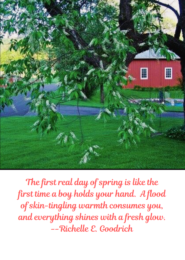 The First Real Day of Spring