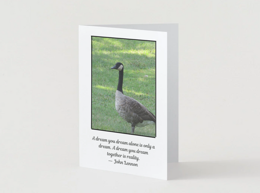 A Dream You Dream Alone