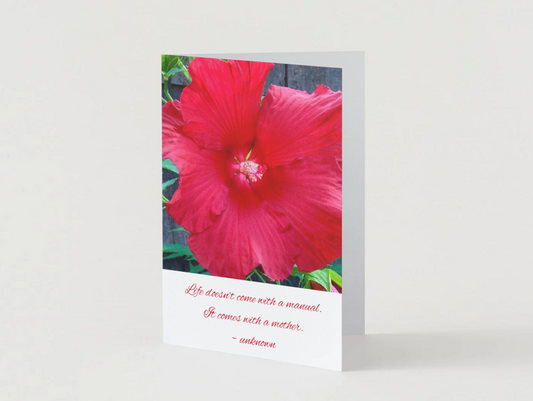 Life Doesn’t Come With a Manual