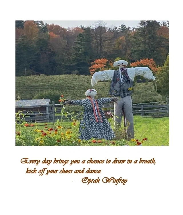Every day brings a chance