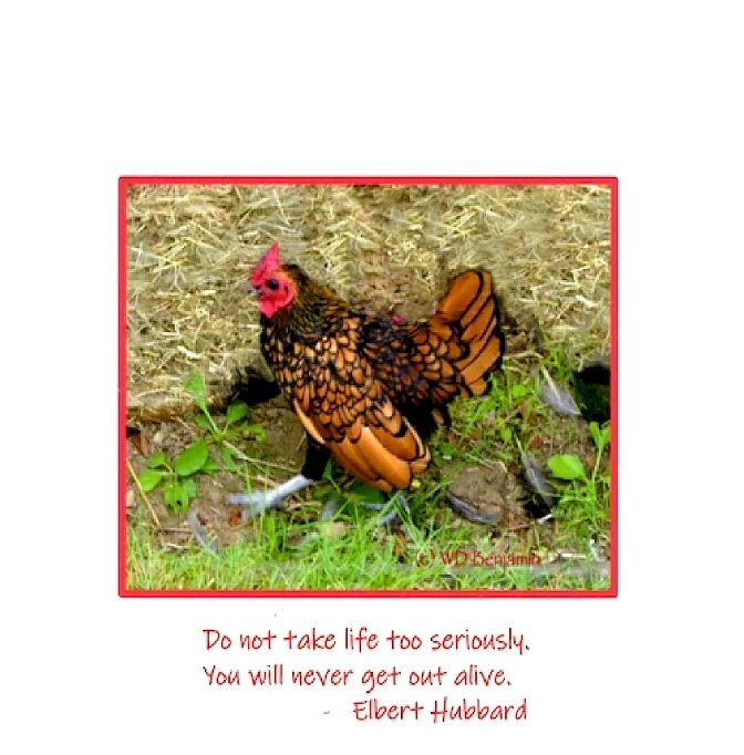 Don't Take Life Too Seriously