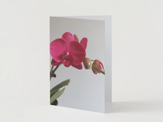 The choice to become a mother