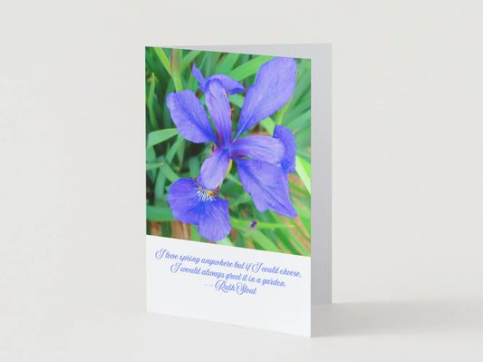 64 - 18 Love Spring Anywhere