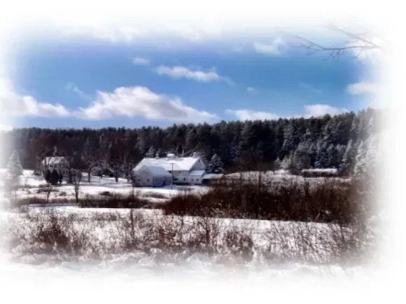 And heerre's .....Winter!!