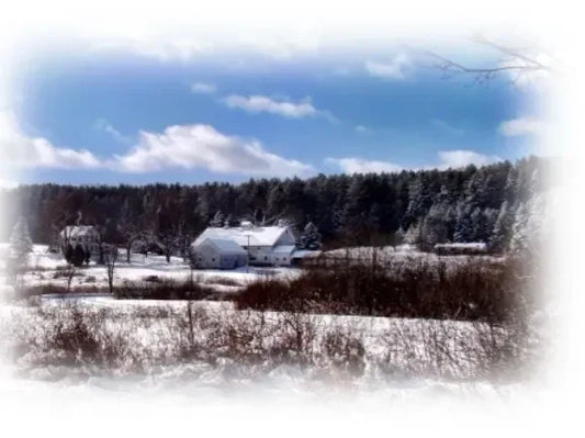 And heerre's .....Winter!!