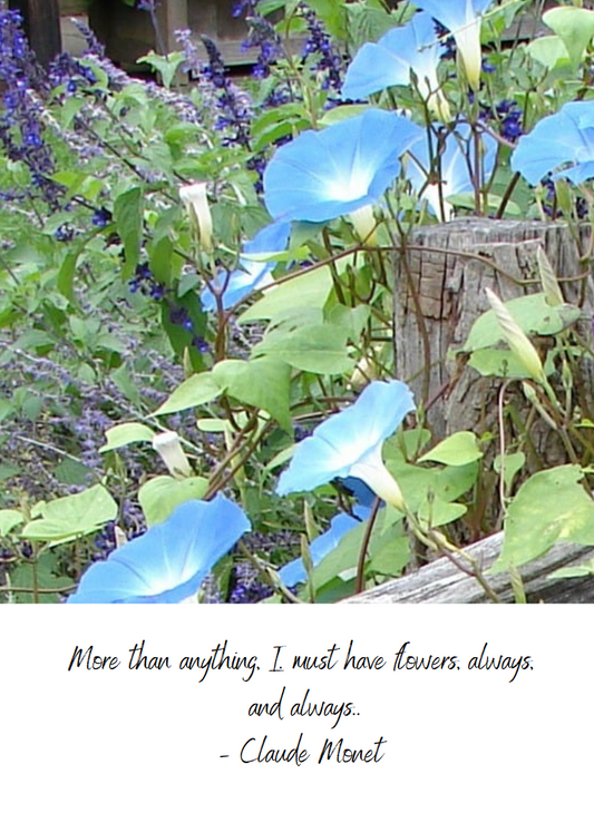 001 - 06 I Must Have Flowers