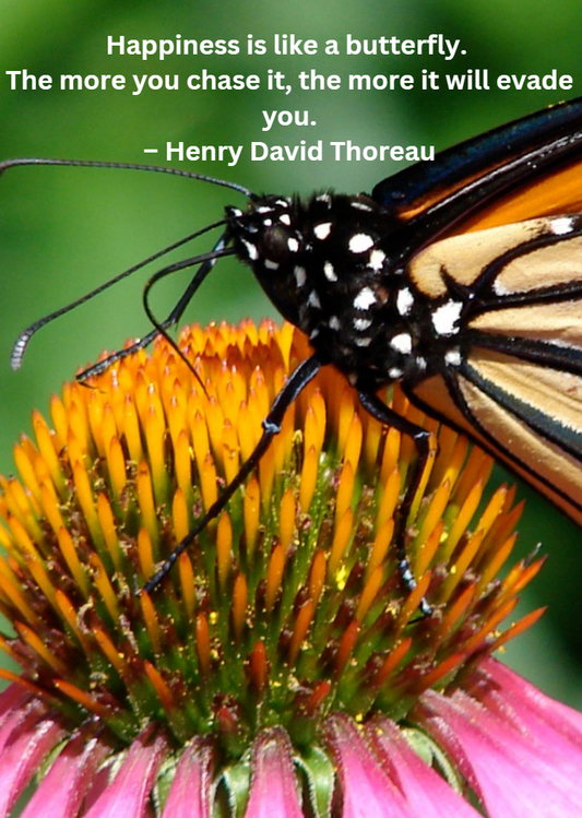 001 - 18 Happiness is like a butterfly