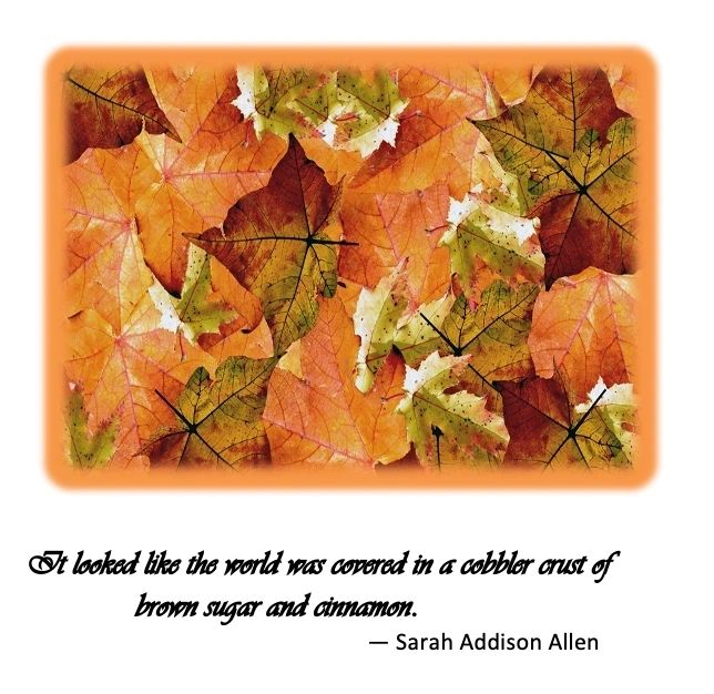 IT LOOKED LIKE THE WORLD