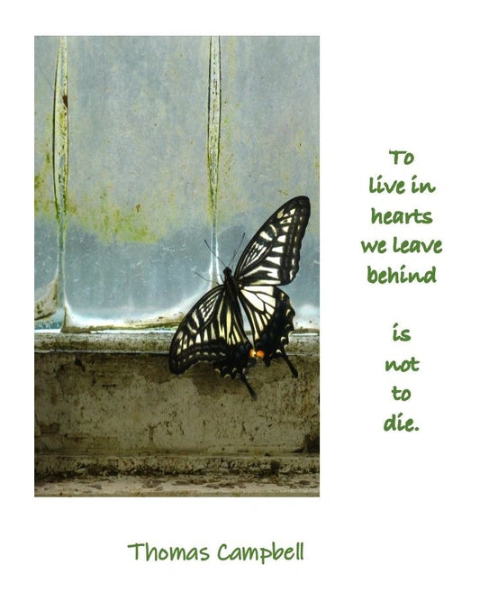B 002 To Live in Hearts