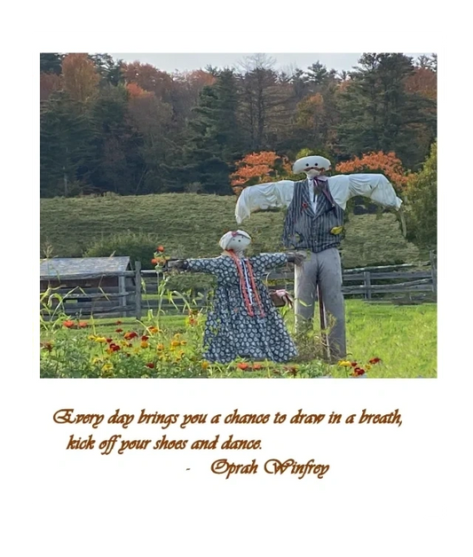Every day brings a chance