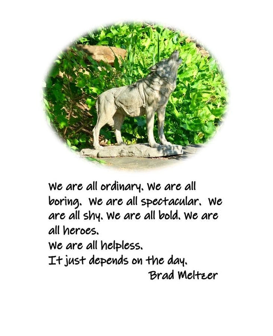 W 002 We Are All Ordinary