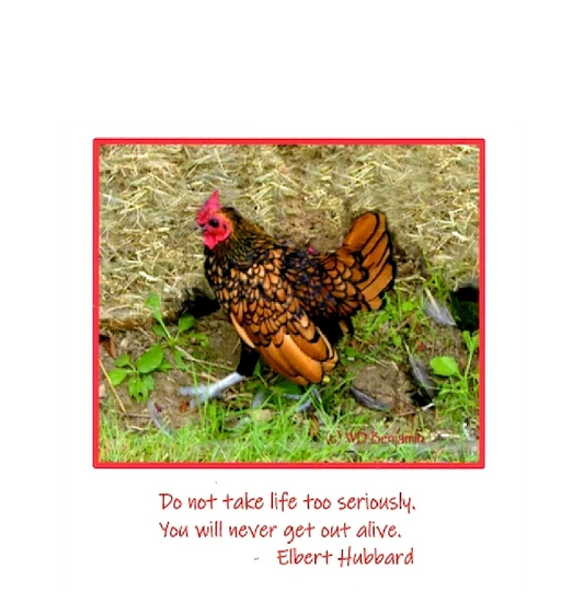 Don't Take Life Too Seriously